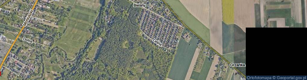 Zdjęcie satelitarne Leśna ul.